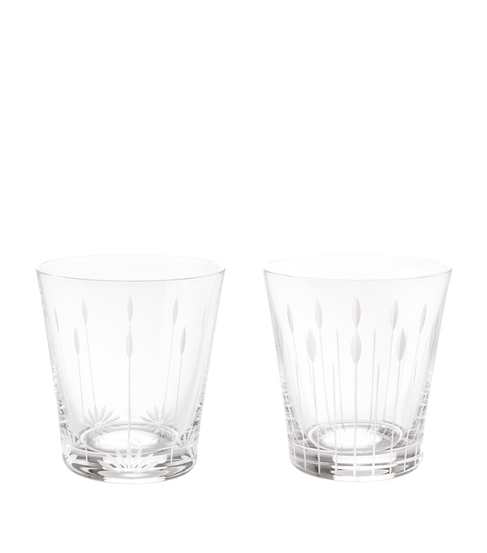 Lalique Set of 2 Crystal Lotus Blossom Tumblers (300ml) Clear